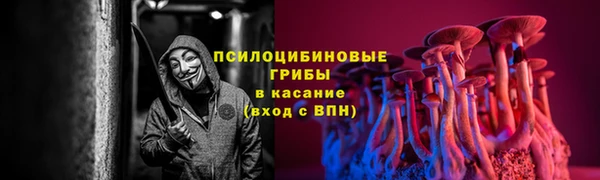 спиды Абаза