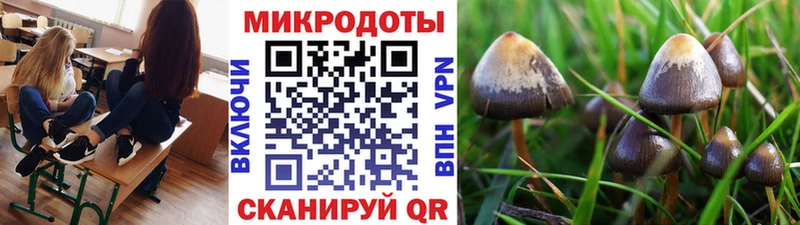 закладки  Плавск  ссылка на мегу рабочий сайт  Псилоцибиновые грибы MAGIC MUSHROOMS 